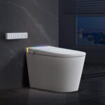 Smart Toilet